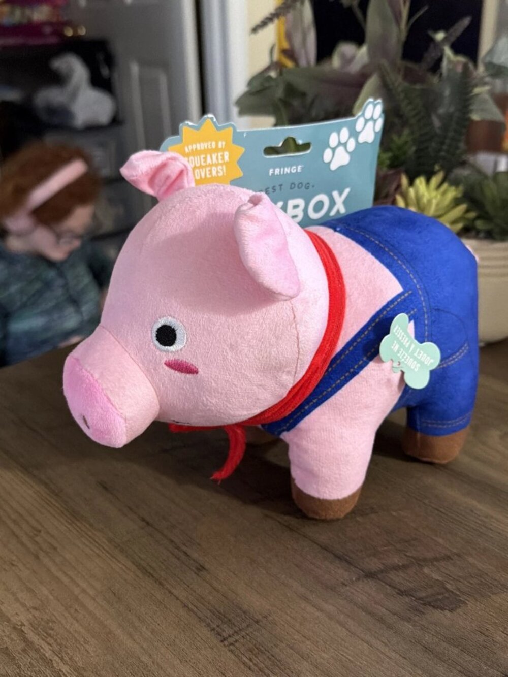 Fringe | Pig Time Fun | Squeaky Plush Dog Toy 11” - NEW